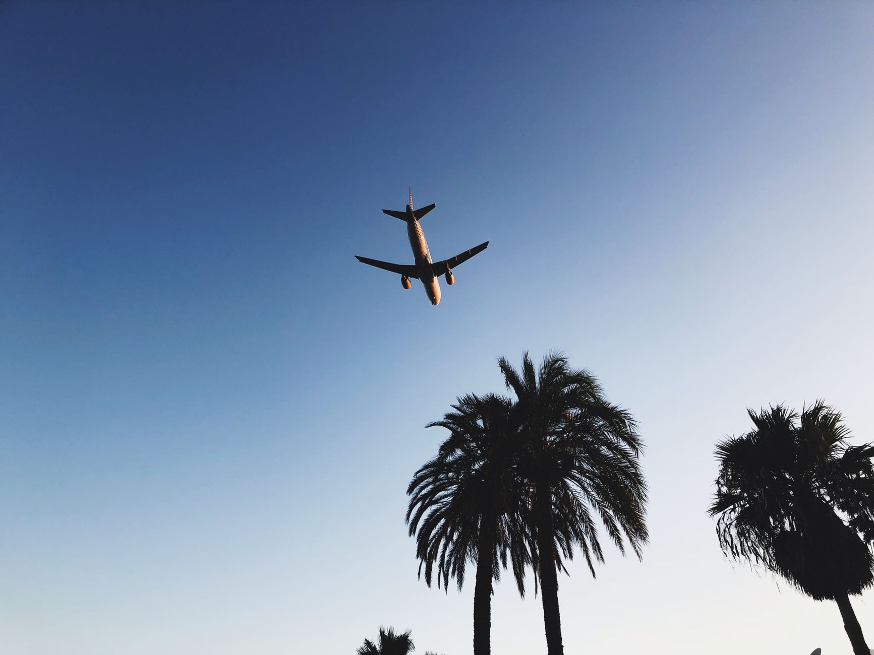 How to Find Cheap Flights in 2026: A Step-by-Step Guide